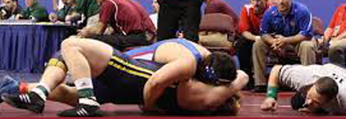 Wrestling Camp